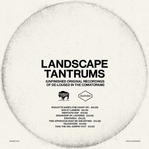 Landscape Tantrums by The Mars Volta Vinyl / 12" Album - Guitar Warehouse