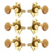 Grover STA-TITE Machineheads ~ 3+3 ~ Horizontal ~ Gold ~ Acrylic Buttons