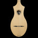 Seagull M4 ~ Natural Spruce