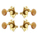 Grover U98 Series Sta-Tite Geared Ukulele Pegs (Set of 4) ~ Gold ~ Acrylic Buttons