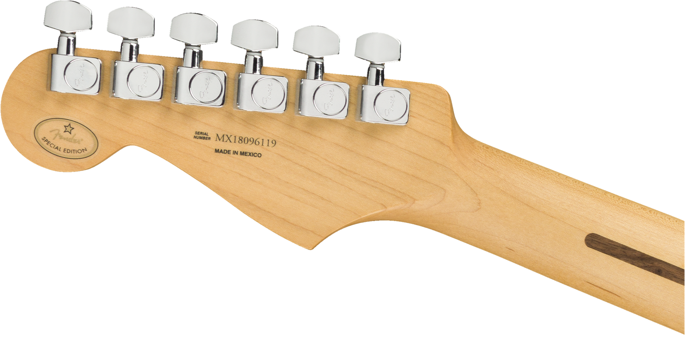 Fender Limited Edition Player Stratocaster®, Maple Fingerboard, Inca Silver