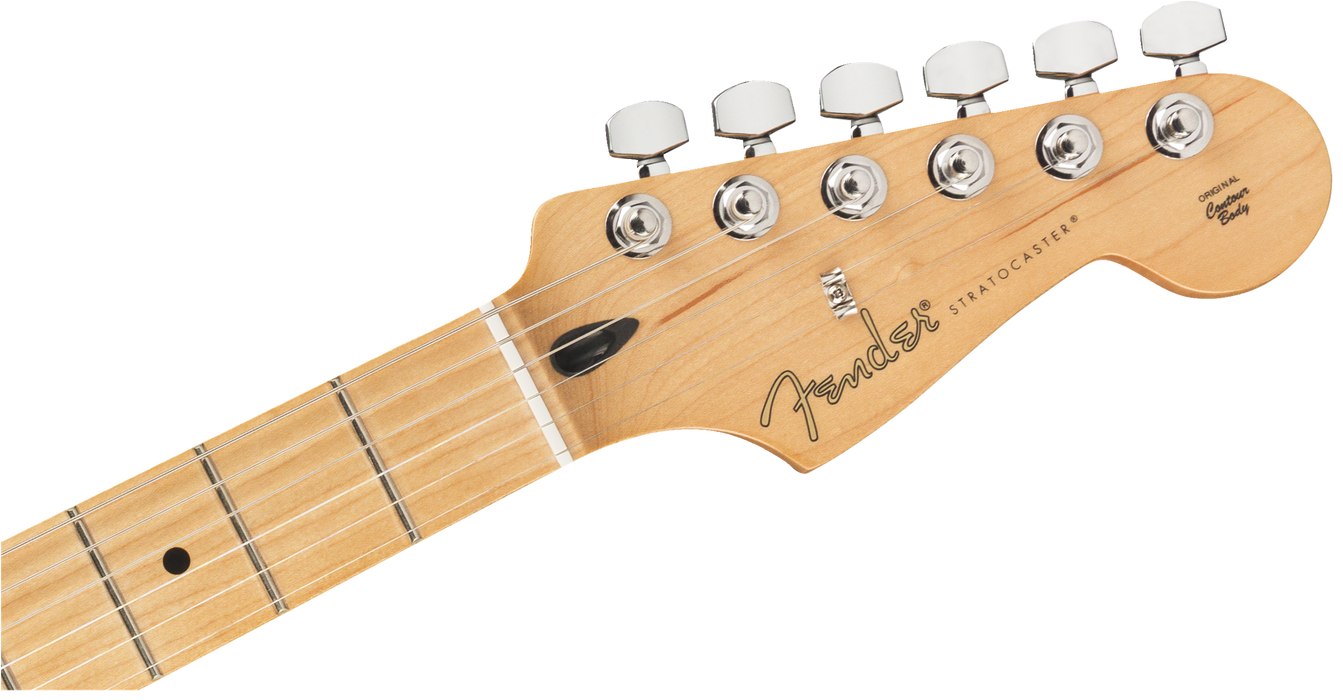Fender Limited Edition Player Stratocaster®, Maple Fingerboard, Inca Silver