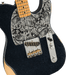 Fender Brad Paisley Esquire®, Maple, Black Sparkle *Includes Deluxe Setup & Hard Case - Guitar Warehouse