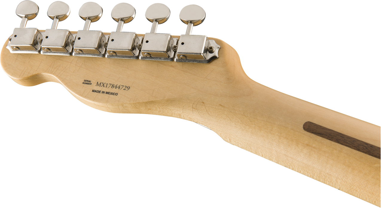 Fender Brad Paisley Telecaster®, Maple, Silver Sparkle *Includes Setup - Guitar Warehouse