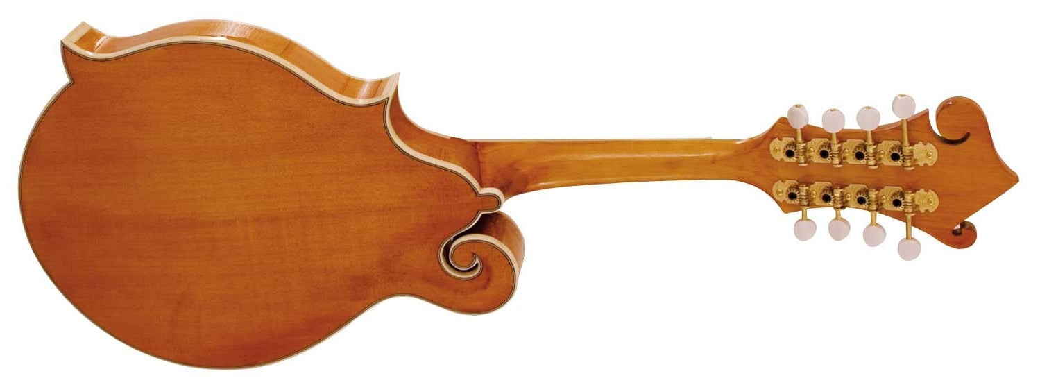 Barnes & Mullins Mandolin - Piercy Model